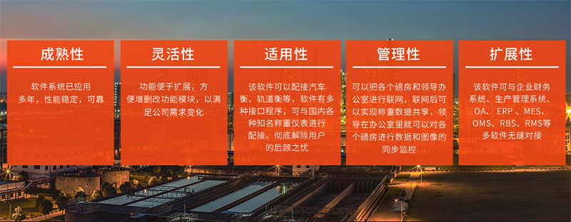 5大优势.png