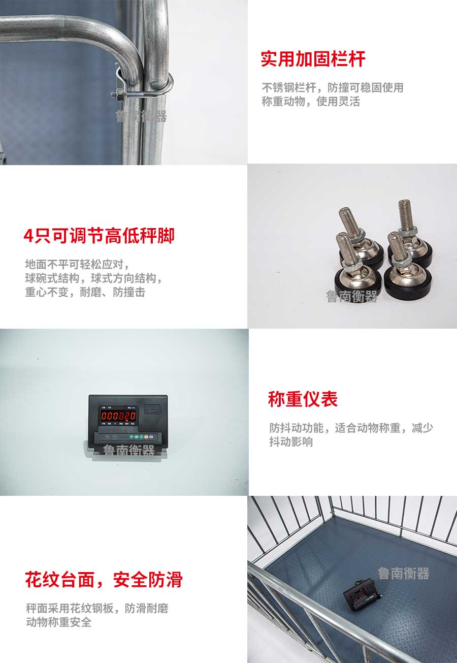牲畜秤详情图.jpg