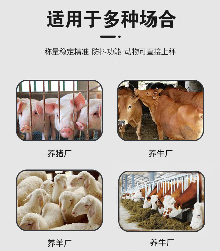 地磅牲畜小地磅应用范围.png